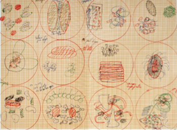 Ferran Adrià Plating Diagram, ca. 2000-2004. Colored pen on graph paper. Courtesy of elBullifoundation.   